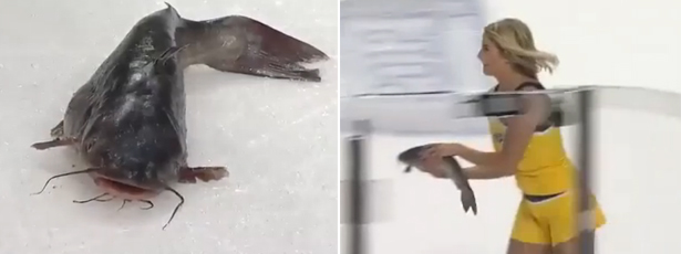 peixe