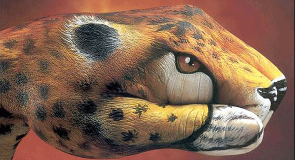 Guido Daniele/BBC