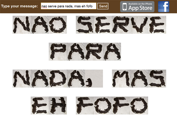 fofo