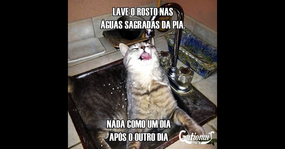 Frases e fotos racionais 41 Frases e fotos racionais 55
