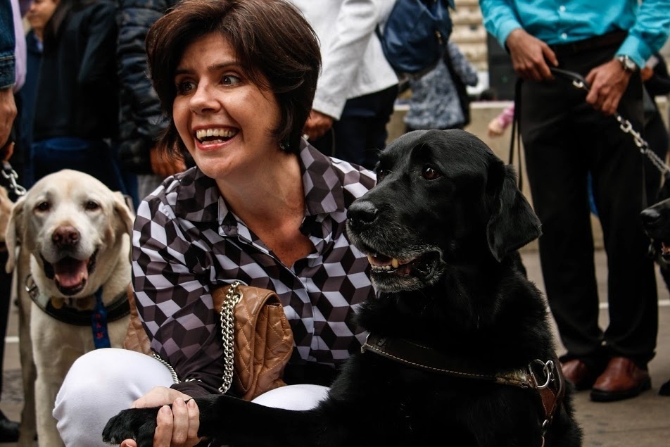 Uma campanha online precisa de doações para "cães-guia" brasileiros