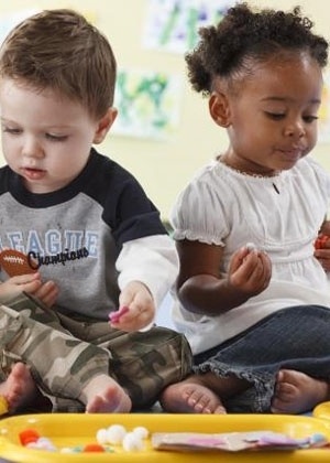 Reprodução/noahsarkcca