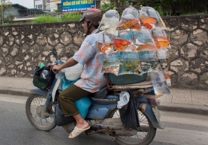 Reprodução/DailyMail/Ton Koene