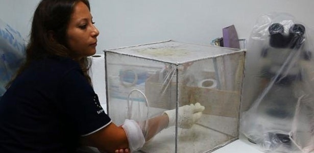 Reprodução/WLRN Reprodução/WLRN