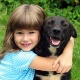 Morte de pet não deve ser ocultada da criança, diz psicóloga - Shutterstock