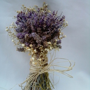 Flor de Cór/Divulgação