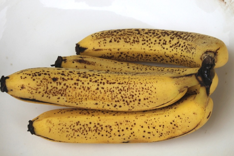 Conheça algumas variedades de bananas comestíveis e/ou ornamentais
