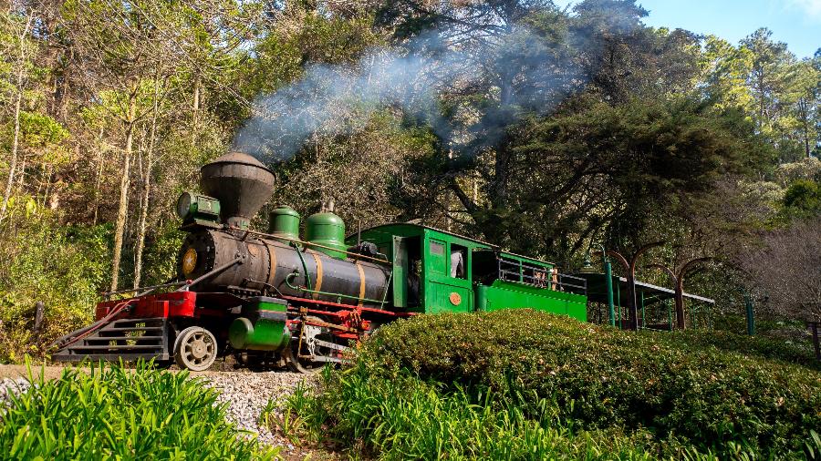 Locomotiva de 1920 faz trajeto em meio ao verde de Campos do Jordão (SP) no novo Parque Bambuí
