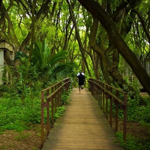 Parque da Juventude