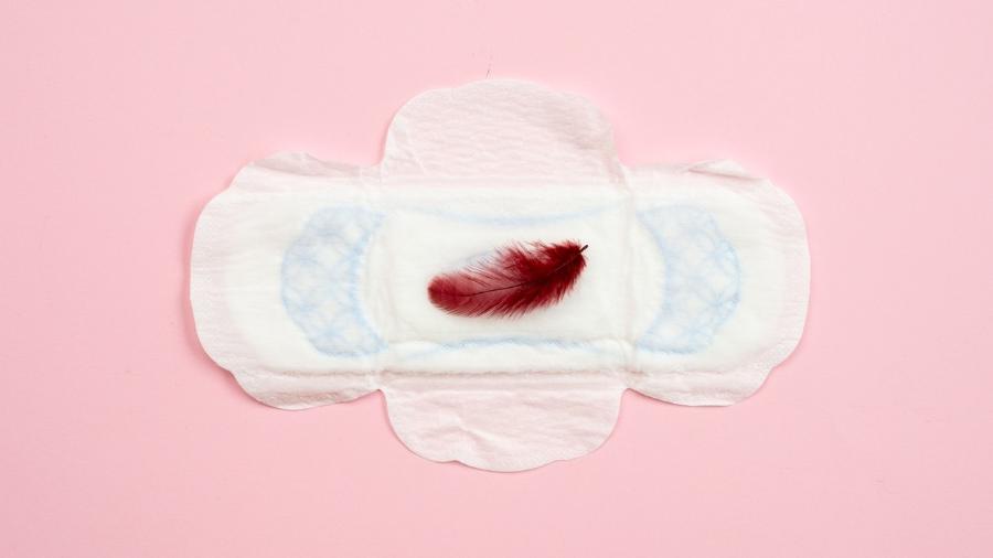 Conheça 10 dúvidas comuns sobre a menstruação. - Blog Rota Seguros