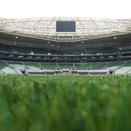 Diniz avalia qualidade do gramado para jogo do Mundial de Clubes -  Fluminense: Últimas notícias, vídeos, onde assistir e próximos jogos