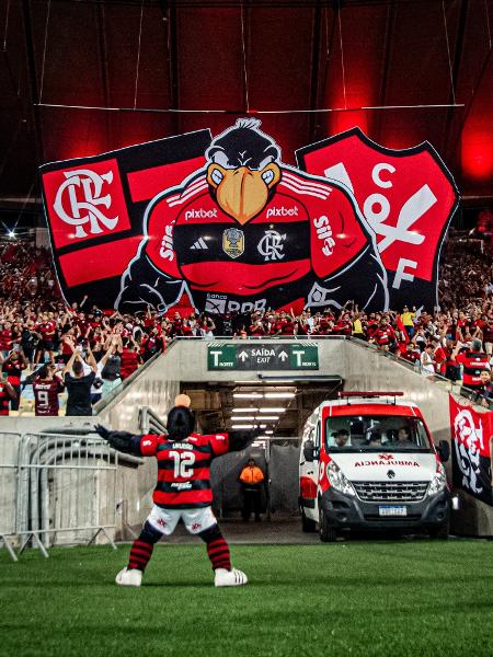 Flamengo já tem 5 jogos marcados para janeiro de 2023 - Coluna do Fla