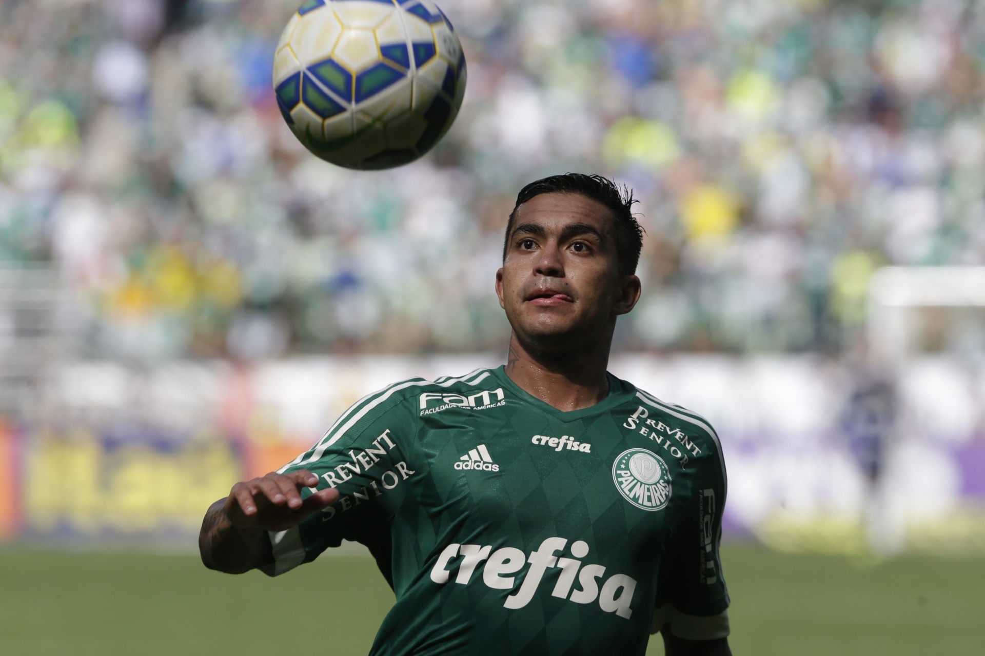 Dudu cobra mais marcação e desiste de título: 