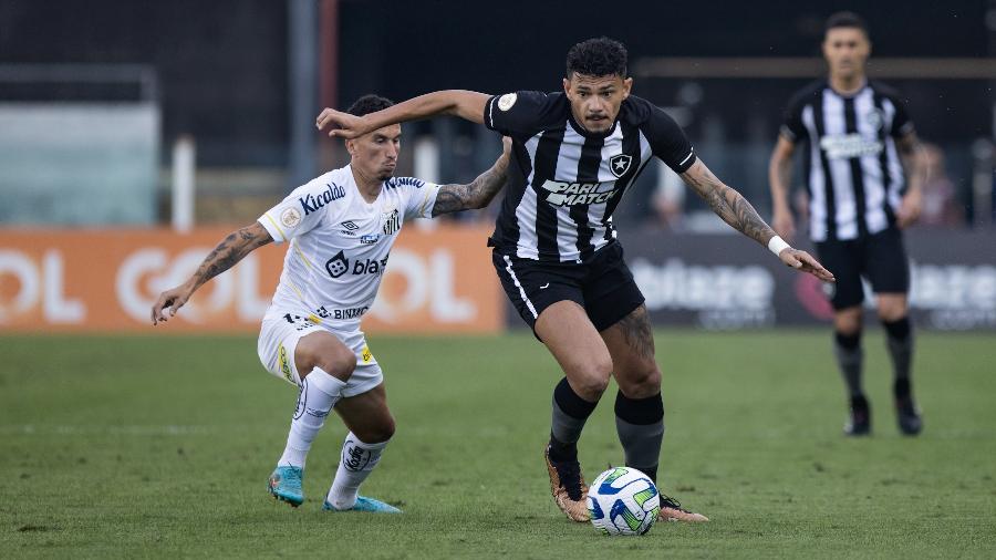 Botafogo empata com o Santos e sai do jogo na Vila tem gosto de vitória