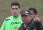 Criciúma inicia treinos com bola e deve enfrentar o Guarani em amistoso