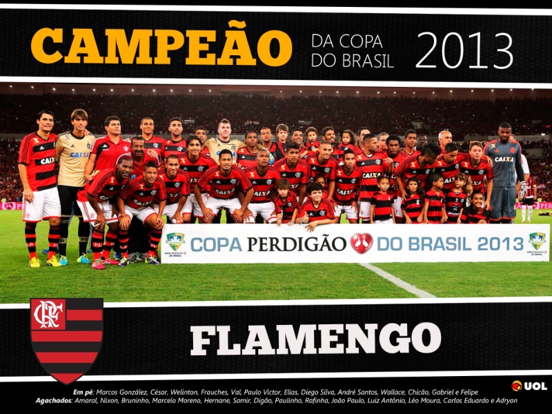 http://imguol.com/c/esporte/2013/11/27/flamengo-e-campeao-da-copa-do-brasil-de-2013-1385603155921_800x600.jpg