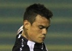 Bernardo