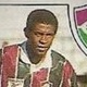 Reprodução/Panini