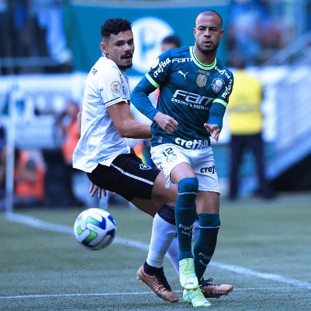 Palmeiras disputará no máximo três jogos em todo mês de março; entenda - PTD