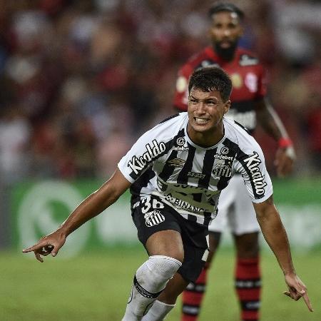 Santos 2 x 3 Flamengo  Campeonato Brasileiro: melhores momentos