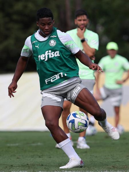 Palmeiras se reapresenta com treino técnico após classificação à