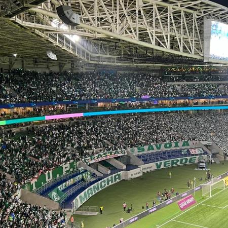 Torcedor do Palmeiras paga R$ 20 mil para assistir à final do