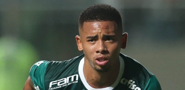 Para blogueiros, Palmeiras não será campeão domingo e Jesus vai brilhar no City