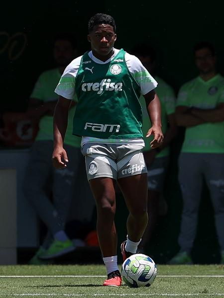 Palmeiras se reapresenta com treino técnico após classificação à