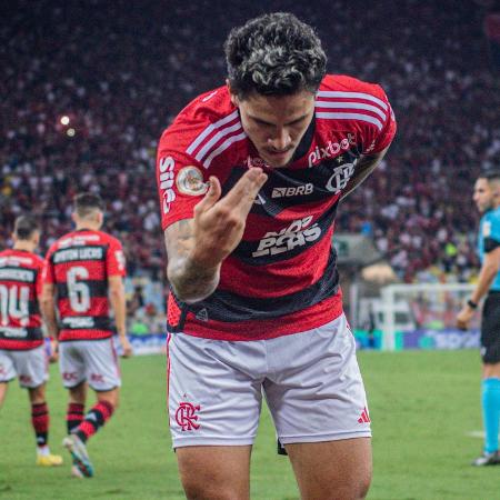 Flamengo x Palmeiras - Curiosidades da partida - Coluna do Fla