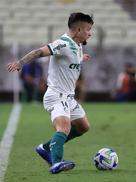 Palmeiras busca empate com um a menos contra o Fortaleza e segue líder do  Brasileirão