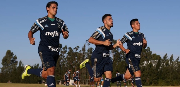 Palmeiras tem mescla de juventude e experiência em todos os setores do time