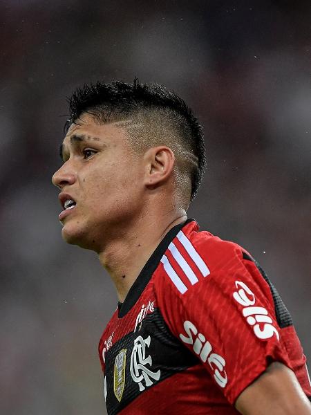 Veja próximos jogos do Flamengo pelo Campeonato Brasileiro