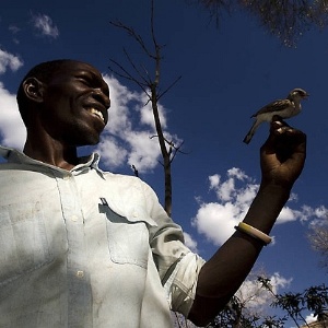 Claire Spottiswoode/Associated Press AnteriorPróxima