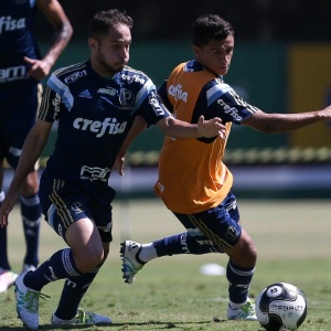 Cesar Greco/Ag Palmeiras