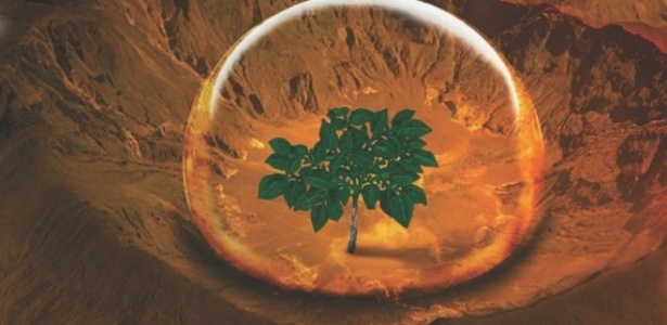 Para pesquisadores, batatas poderiam alimentar uma futura colônia humana em Marte
