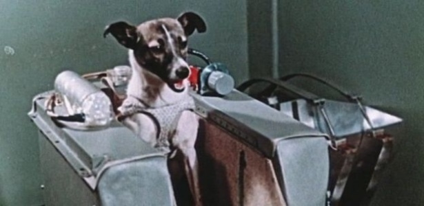 a-cadela-laika-viajou-para-o-espaco-1482771274748_615x300.jpg