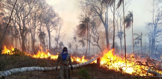 Homem participa de combate ao incêndio florestal no Maranhão