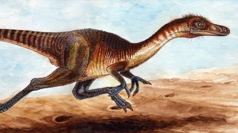 Nova espécie de dinossauro carnívoro é descoberta em São Paulo