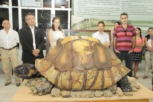 Glauco Capper/Ufac