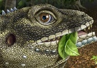 Divulgação e Angie Fox/Nebraska State Museum of Natural History/AFP
