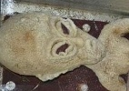 Chinês posta foto de alienígena que capturou no quintal de casa  (Foto: Reprodução/Mail Online)