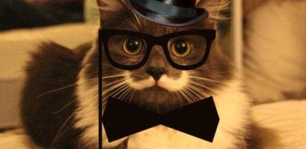 Reprodução/ Facebook//HamiltonTheHipsterCat
