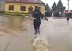 Rir é o melhor remédio? Tcheca pratica wakeboard em enchente  (Foto: Reprodução)