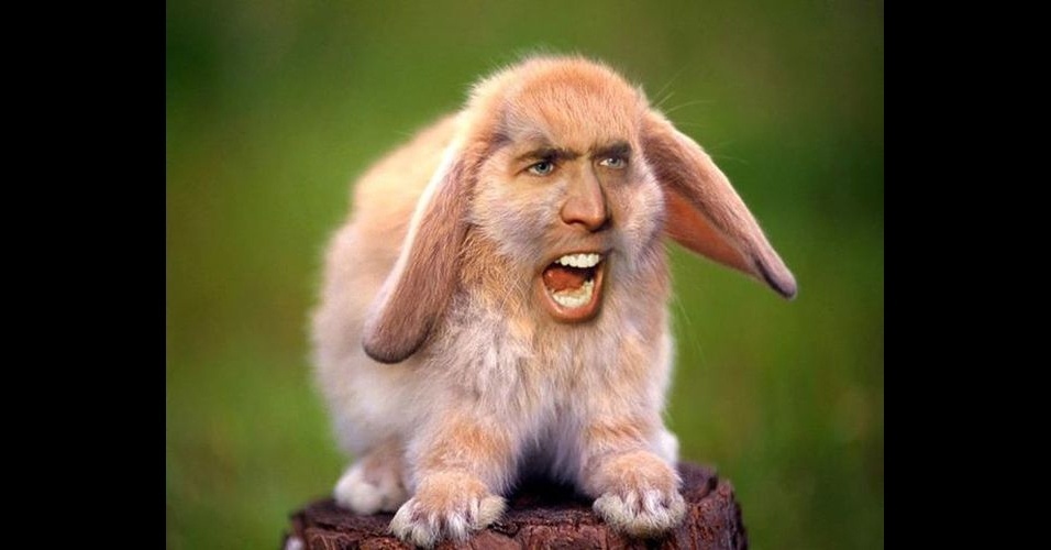 Modinha da web coloca rosto do ator Nicolas Cage at� em dinossauro