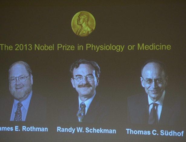  James E. Rothman, Randy W. Schekman e Thomas C. Südhof ganharam o Prêmio Nobel de Medicina 2013
