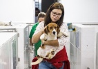 Ativistas que levaram cães de laboratório em São Roque (SP) vão responder por furto  (Foto: Avener Prado/Folhapress)
