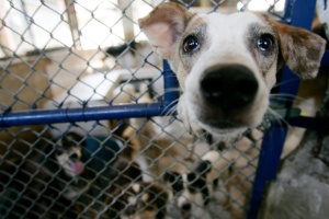 Agência O Dia/Estadão Conteúdo