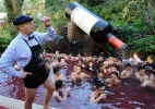 Japoneses fazem tratamento em banheira cheia de vinho francês  (Foto: Toshifumi Kitamura/AFP)