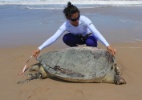 Treze tartarugas são encontradas mortas no litoral entre o Maranhão e Piauí (Foto: Divulgação / Biomade)