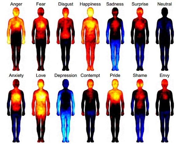 O "calor" das emoções em nosso corpo: acima, da esquerda para direita, raiva, medo, nojo,felicidade, tristeza, surpresa e neutralidade; abaixo, ansiedade, amor, depressão, desprezo, orgulho, vergonha e inveja